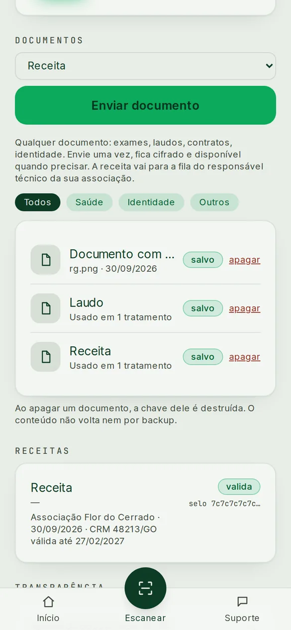 Tela do cofre com documentos filtrados por Saúde, Identidade e Outros